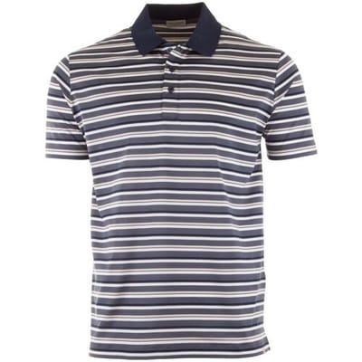 Paul & Shark Polo Jersey Cotton Shaded Stripes Multicolor / male