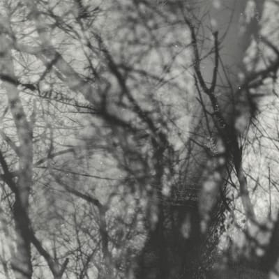 Grouper - Way Their Crept (LP)