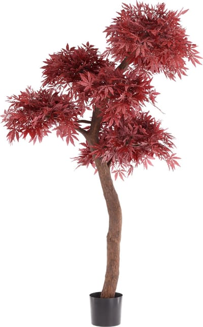 Acer Bonsai Kunstboom Deluxe 220cm Burgundy