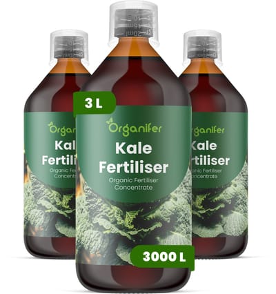 Vloeibare Meststof Voor Boerenkool 3X1 L Voor 3000 L - Npk 2-1-8 - Voedingsrijke Bladgroei - Sterke Wortels - Bladkleur - Bladtextuur - Koudebestendig - Compacte Groei - Herhaalde Oogst - Consistente Hergroe - Lange Teeltseizoen - Organifer