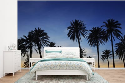 Behang - Fotobehang Palmboom - Natuur - Strand - Zon - Nacht - Breedte 375 cm x hoogte 280 cm
