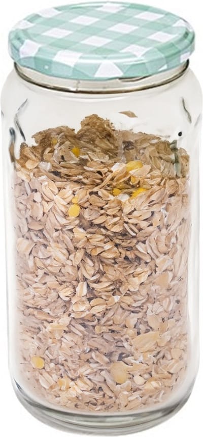 Hega Hogar Weckpot/voorraadpot Classico - 950 ml - kunststof - draaideksel - groen - D8 x H17 cm