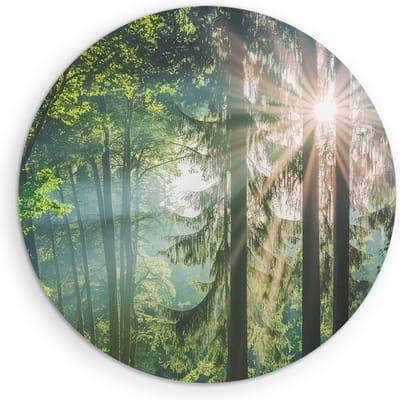 Saammp Muurcirkel Hout - Zon tussen de bomen - Bos - Landschap - Natuur - Ø 90 - Wandcirkel - Wanddecoratie Cirkel - Muurdecoratie Woonkamer - Slaapkamer decoratie - Rond Schilderij