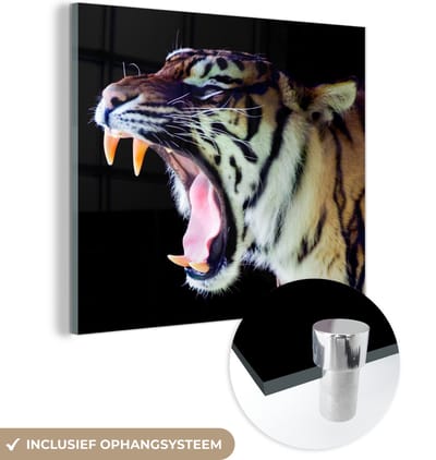 MuchoWow® Glasschilderij 50x50 cm - Schilderij acrylglas - Tijger - Tanden - Portret - Foto op glas - Schilderijen