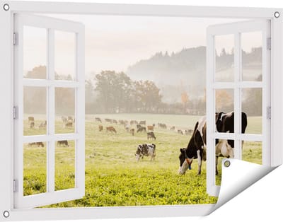 Gards Tuinposter Doorkijk Zwart Witte Koeien in de Wei - 90x60 cm - Tuindoek - Tuindecoratie - Wanddecoratie buiten - Tuinschilderij