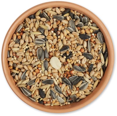 CJ Wildlife - 2.5kg Traditioneel Strooivoer - Met Pindas en zonnebloempitten - Vogelvoer