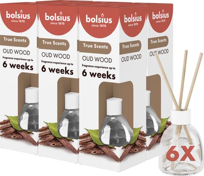 Bolsius True Scents - Geurstokjes - Oud Wood - 6 stuks - Voordeelverpakking - 60ml