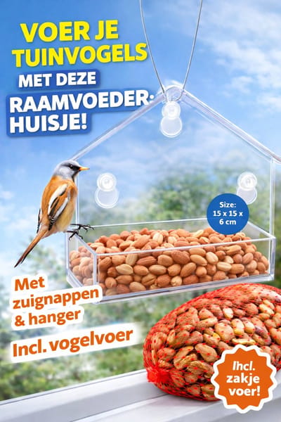 MRO Compleet pakket Doorzichtig Raam vogelvoeder huisje voor Buitenvogels - Incl. Nootjes - Kant en Klaar