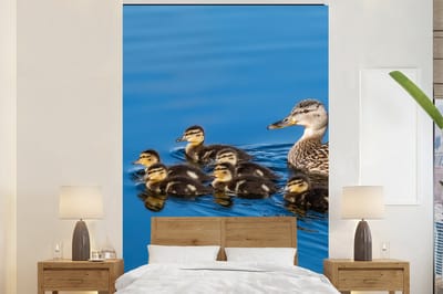Behang - Fotobehang Eend - Water - Vogel - Bruin - Breedte 225 cm x hoogte 350 cm