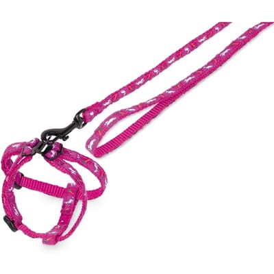 Nylon knaagdierharnas met riem Nobby Pet Carrot