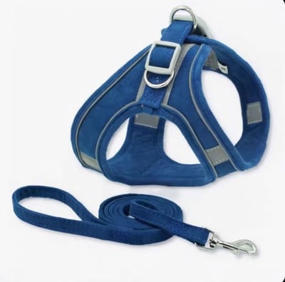 Hondenharnas | Puppy Tuigje | Geschikt voor teacup en toy breeds | Blauw | XXS
