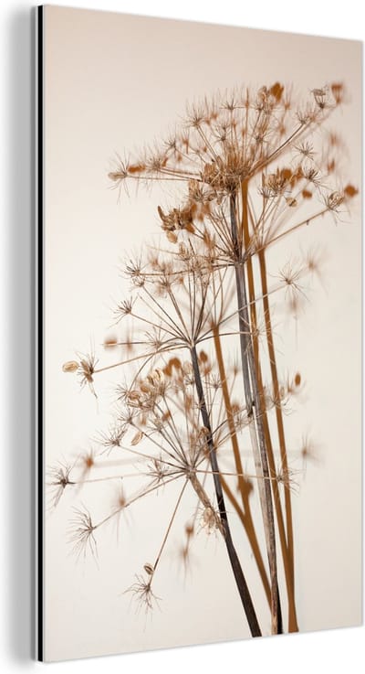 Aluminium schilderij 120x180 cm - Wanddecoratie metaal - Droogbloemen - Stilleven - Wit - Planten - Bloemen - Metalen muurdecoratie woonkamer - Decoratie industrieel - Foto op dibond - Industriële accessoires slaapkamer