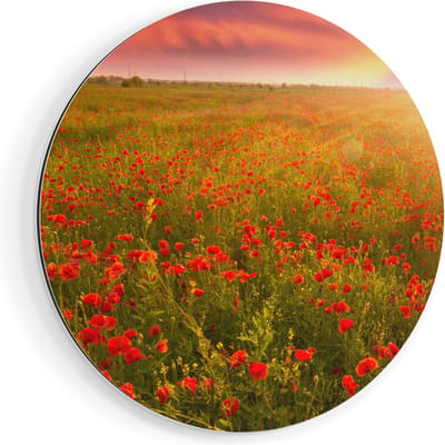 Artaza Dibond Muurcirkel Rode Klaproos Bloemenveld - Zonsondergang - Ø 90 cm - Groot - Wandcirkel - Rond Schilderij - Voor Binnen en Buiten