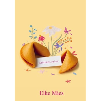 Gebroken Geluk - Elke Mies