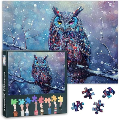 Puzzel 1000 Stukjes - Legpuzzel Volwassenen - Ontspanning Thuis - Gedetailleerd Winter Design - 70 x 50 cm - Niet gespecificeerd