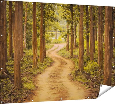 Gards Tuinposter Pad in het Bos met Bomen - 160x120 cm - Tuindoek - Tuindecoratie - Wanddecoratie buiten - Tuinschilderij