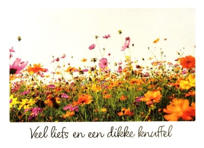 Kaart - Veel liefs en een dikke knuffel - Little wishes - ECLT20-A