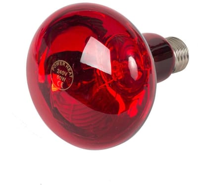 Infrarood warmtelamp 100 watt voor dieren – veilige en constante warmte - Infrarood warmtelamp 100 watt - Broedmachines - Kip - Benodigdheden - Andere dieren
