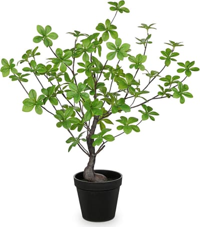 Artificial Plant Tree - 53.3cm Pot - Faux Enkianthus Perulatus - Plastic Black Pot - Home Decoration - Indoor or Outdoor - Office Decoration - Housewarming Geschenk
