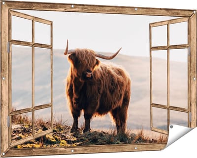 Gards Tuinposter Doorkijk Schotse Hooglander in de Heuvels van Schotland - 150x100 cm - Tuindoek - Tuindecoratie - Wanddecoratie buiten - Tuinschilderij