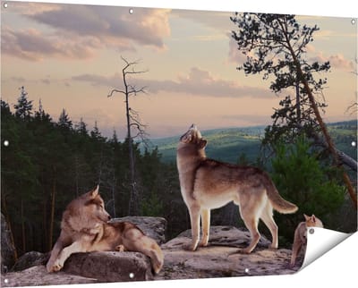 Gards Tuinposter Drie Wolven op een Rots in het Bos - 150x100 cm - Tuindoek - Tuindecoratie - Wanddecoratie buiten - Tuinschilderij