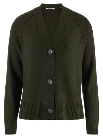 Vest Van Peter Hahn groen