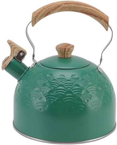 RVS Waterkoker - Theepot Fluitketel - Water Koken - Efficiënte Fluittoon - 2.5 Liter - Groen
