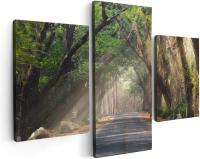 Artaza Canvas Schilderij Drieluik Weg Omringd Met Bomen - 90x60 - Foto Op Canvas - Canvas Print