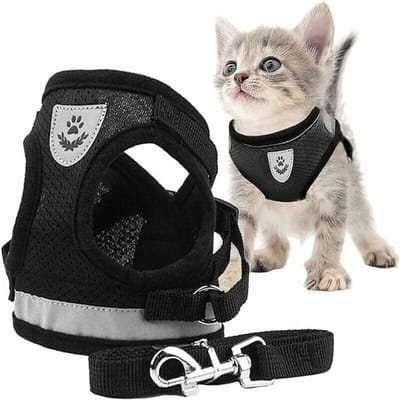 Kattenharnas met Looplijn – Verstelbaar Kattentuig met Reflecterende Strepen – Ademend Mesh – Voor Wandelen en Training – Voor Katten – Zwart – Maat S – 1 Set
