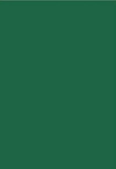 Hobby en crafting EVA foam vellen - 2 millimeter 22x30 cm - 10 stuks Donker groen