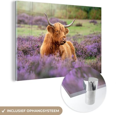 MuchoWow® Glasschilderij 150x100 cm - Schilderij acrylglas - Schotse Hooglander - Bruin - Struiken - Foto op glas - Schilderijen