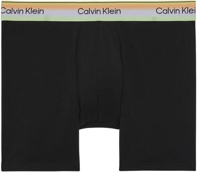 Ondergoed Boxer Calvin Klein Brief - Fashion Wear - Volwassen
