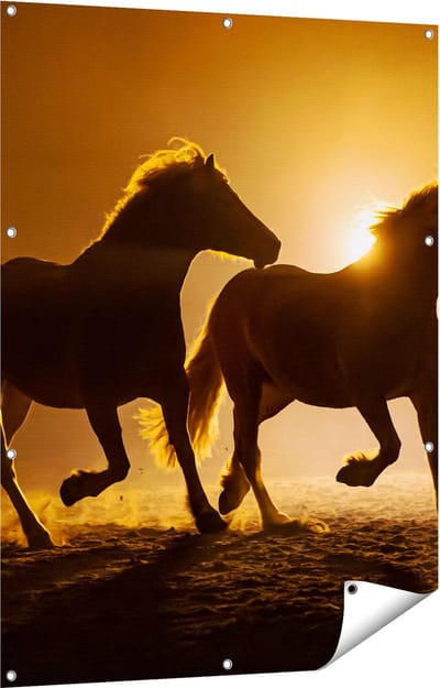 Gards Tuinposter Silhouet van Twee Paarden - 90x120 cm - Tuindoek - Tuindecoratie - Wanddecoratie buiten - Tuinschilderij