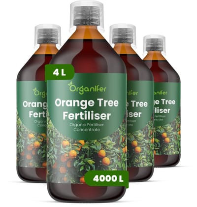 Vloeibare Meststof Voor Sinaasappelboom 4X1 L Voor 4000 L - Ondersteunt Krachtige Groei En De Ontwikkeling Van Dicht Bladerdek - Verhoogt De Bloei-Intensiteit - Vruchtzetting - Bevordert Een Sterke Bladstructuur En Diepgroene Kleur - Organifer