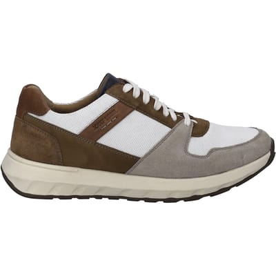 JOSEF SEIBEL Heren Sneaker Cameron 10 in veelkleurig