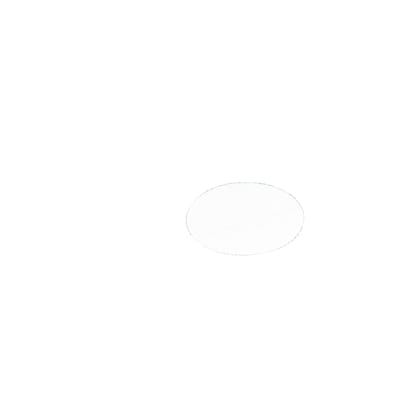 AEG plat afvoerfilter, 8090958045