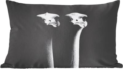 Sierkussens - Kussentjes Woonkamer - 60x40 cm - Struisvogels - Halzen - Zwart - Minimalistisch