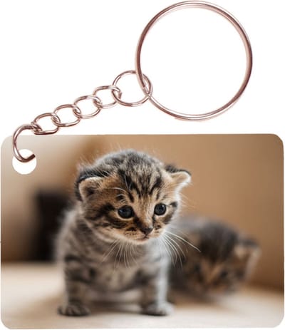 Sleutelhanger 6x4cm - Kittens op Ontdekkingstocht
