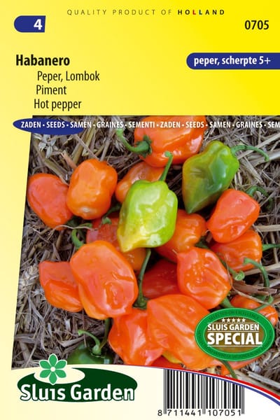 Sluis Garden - Peper Habanero Oranje (Capsicum chinense)