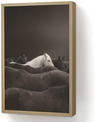 Wandlamp 40x60 cm - Oplaadbaar - Paarden - Zwart - Wit - Kudde - Wandlampen binnen woonkamer - Slaapkamer lamp - Decoratieve nachtlamp - Vloerlamp draadloos