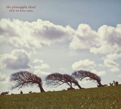 What We Have Sown - Pineapple Thief