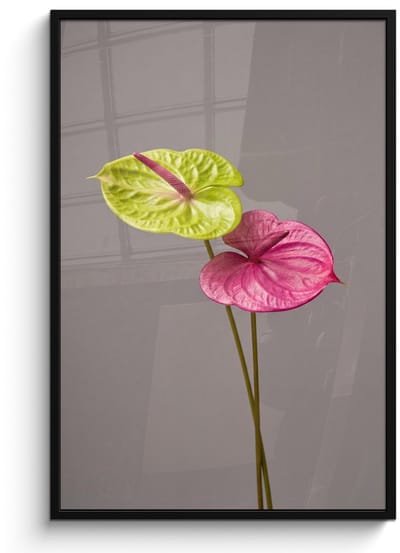 Poster in lijst - Fotolijst 80x120 cm - Posters - Planten - Anthurium - Groen - Roze - Posterlijst zwart - Decoratie - Wanddecoratie woonkamer - Muurdecoratie slaapkamer