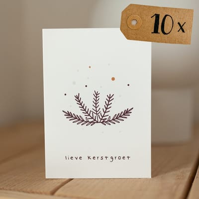 10x hippe kerstkaarten (A6 formaat) - kerst kaarten om te versturen - kaartenset - kaartjes blanco - kaartjes met tekst - luxe kerstkaarten - feestdagenkaarten - kerstkaart - wenskaarten