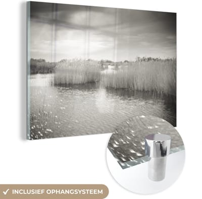 ® Glasschilderij 180x120 cm - Schilderij acrylglas - Zwart-wit foto van riet in een meer in het Nationaal park Tablas de Daimiel - Foto op glas - Muurdecoratie woonkamer - Wanddecoratie slaapkamer - Schilderijen