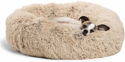 Jenny Hondenmand Beige, XL