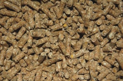 Wielink Pluimveekorrel Volledig 20KG