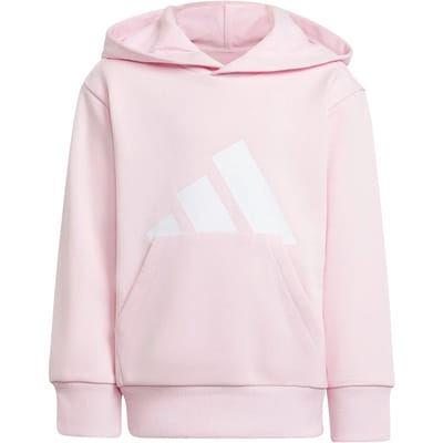Adidas Essentials Big Logo Hoodie Roze 4-5 Years Jongens,Meisjes