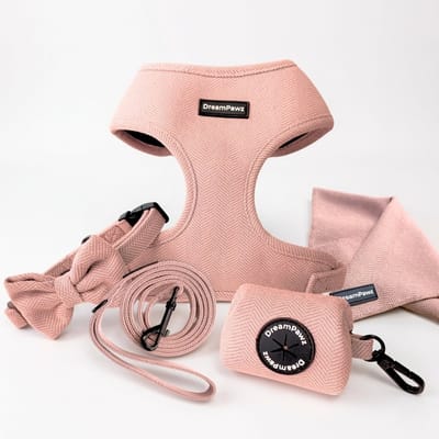 DreamPawz - Set van Harnas, Halsband, Riem en 3 accessoires - 6-Delige Set - Hondentuigje, Halsband, Leiband, Strikje, Poepzakjedispenser, Bandana - incl. Cadeauverpakking - Lichtroze - S