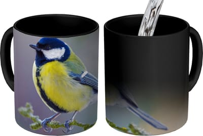 Magische Mok - Foto op Warmte Mokken - Koffiemok - Koolmees - Vogel - Tak - Magic Mok - Beker - 350 ML - Theemok