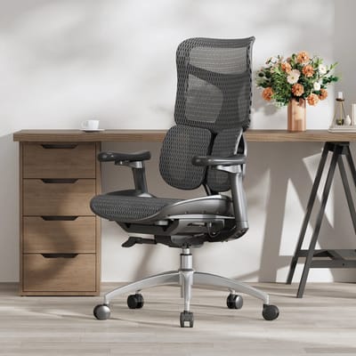 SIHOO S100C Ergonomische Bureaustoel - Dubbele Dynamische Lendensteun - 4D Verstelbare Armleuningen - Verstelbare Kantelbare Rugleuning - Max150kg - Thuiswerken En Gamen - Zwart